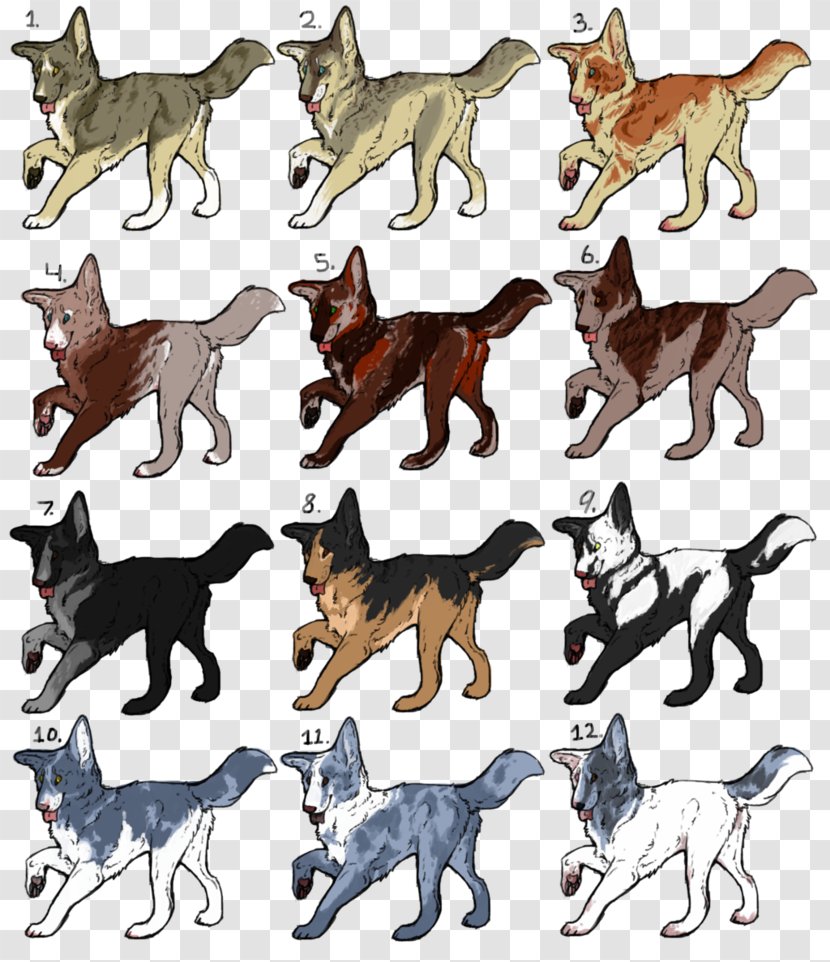 Dog Breed Wildlife Tail - Animal Transparent PNG