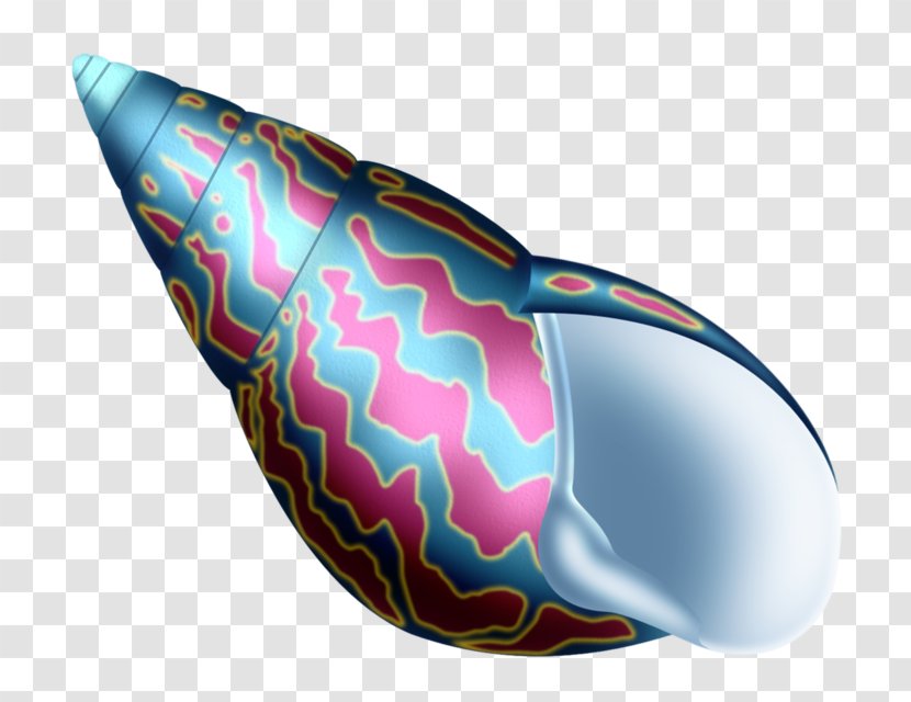 Clip Art - Conch - Colorful Transparent PNG