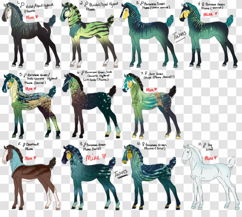 Dog Breed Mustang Pony Pack Animal Transparent PNG