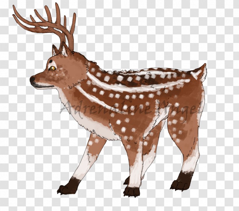 Reindeer White-tailed Deer Elk Musk Deers - Mammal Transparent PNG