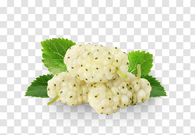 Organic Food White Mulberry Drying Extract - Health Transparent PNG