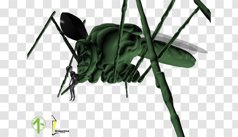 Insect Wing Pollinator Game Pest - Tree - Dragon Kite Transparent PNG