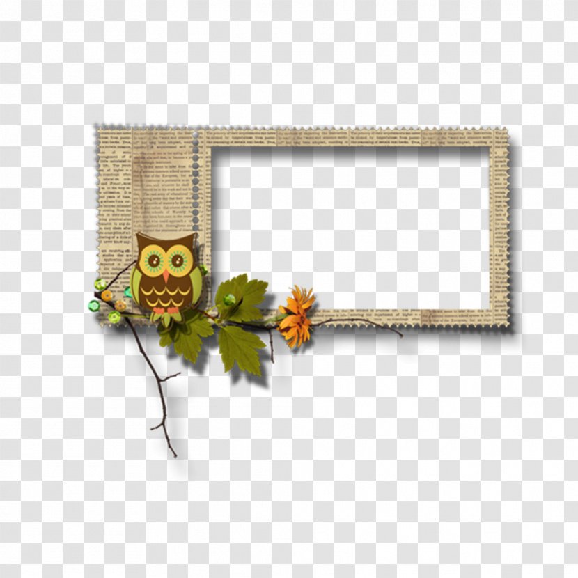 Owl Download - Picture Frame - Hand-painted Flowers Creative Floral Material Transparent PNG