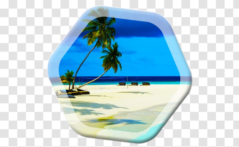Palm Tree Background - Tableware Transparent PNG