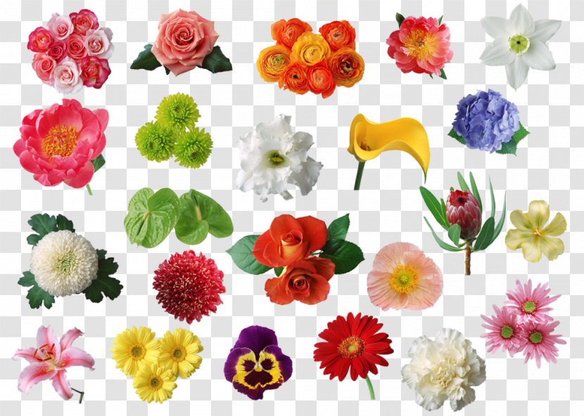 Floral Design Cut Flowers Artificial Flower Bouquet - Petal - Vining Outline Transparent PNG