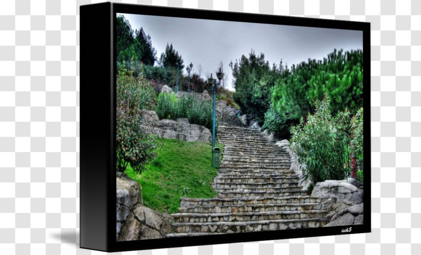 Landscape Nature Tree Wall Meter - Stairway To Heaven Transparent PNG