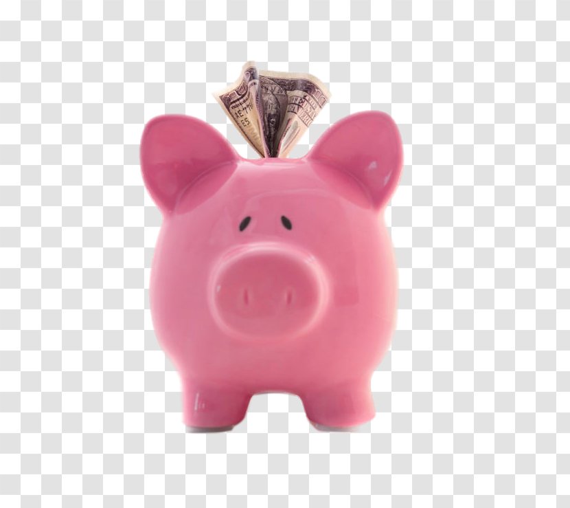 Domestic Pig Piggy Bank Pink Money Transparent PNG