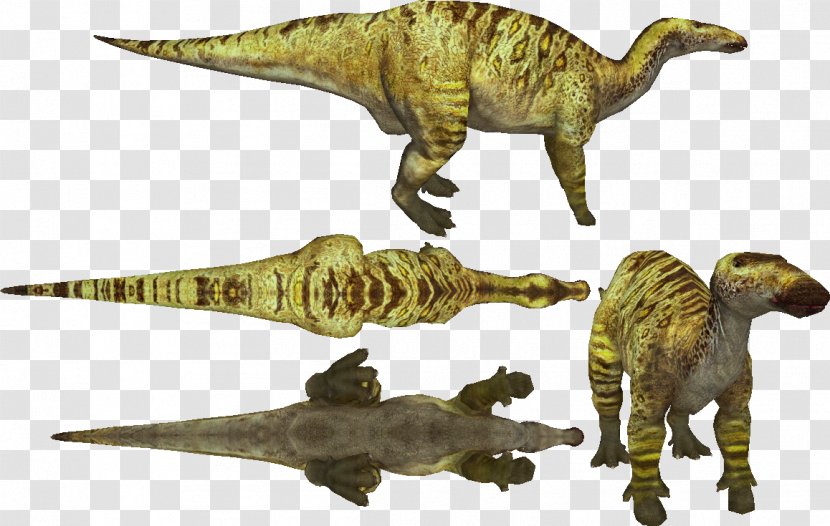 Tyrannosaurus Velociraptor Terrestrial Animal - Extinction Transparent PNG