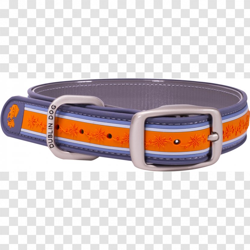 Dog Collar Walking Belt Buckles - Wildflower Transparent PNG