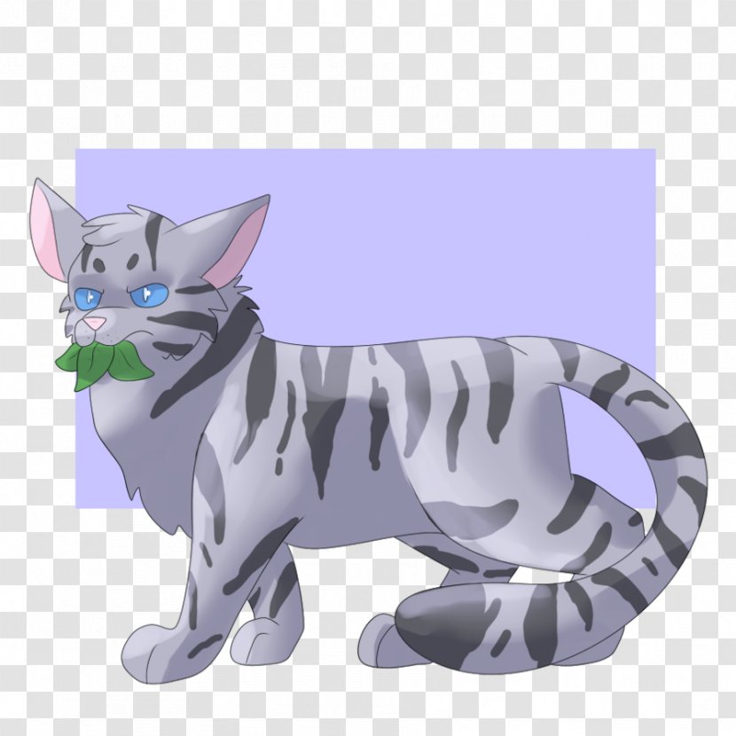 Whiskers Kitten Tabby Cat Dog Transparent PNG
