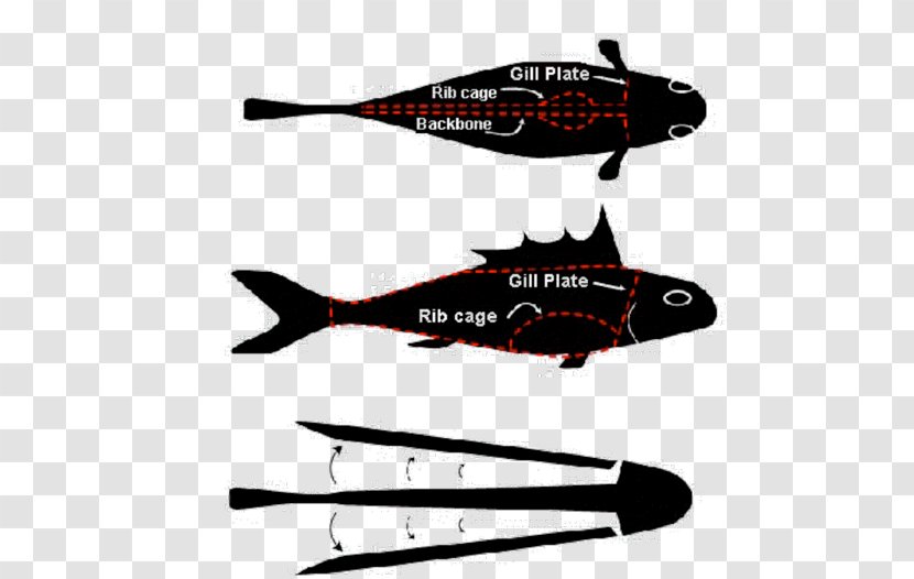 Catfish Helicopter Airplane Cleaning - Gill - Fishy Story Transparent PNG