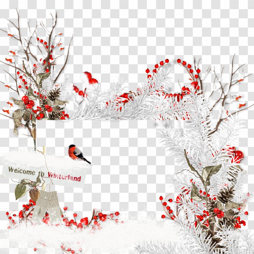 Christmas Decoration Tree Ornament - Flower - Round Frame Transparent PNG
