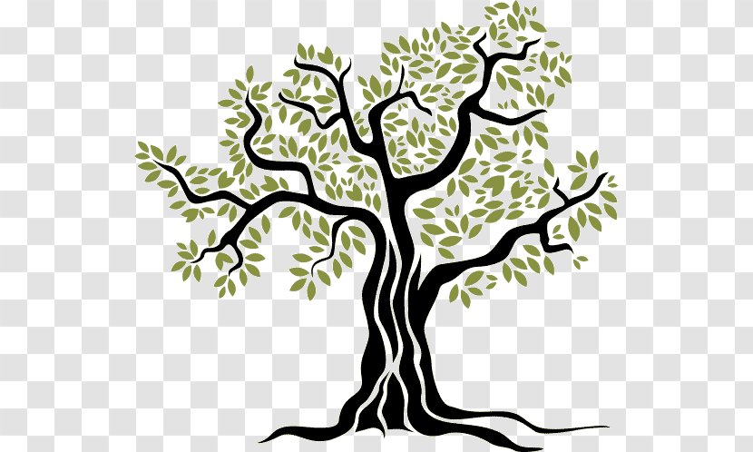 Tree Trunk Drawing - Food - Forest Transparent PNG