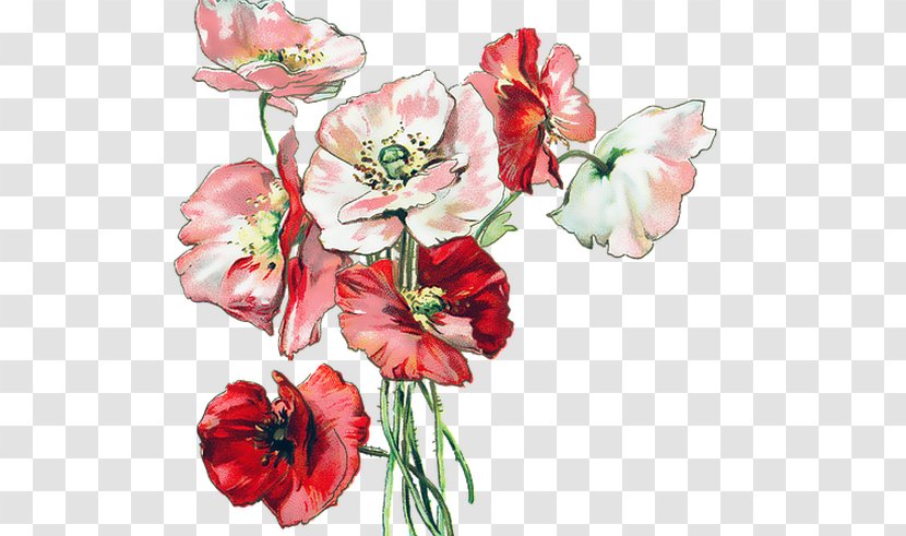 Flower Bouquet Poppy Floral Design Wildflower Transparent PNG