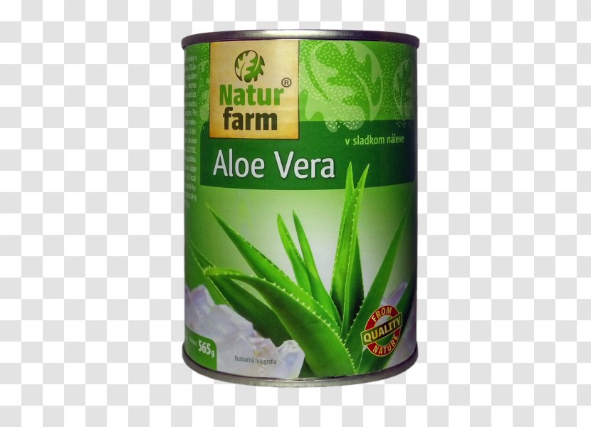 Aloe Vera Vitamin Compote Elintarvike Diet - Aloes - Aloevera Transparent PNG