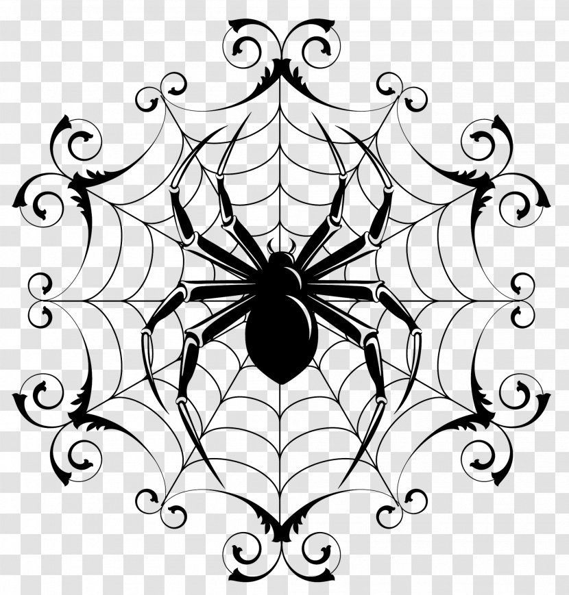 Spider Web Drawing Clip Art Image - White Transparent PNG