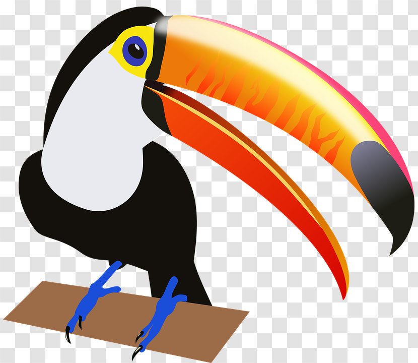 Toucan Bird Clip Art - Tukan Transparent PNG