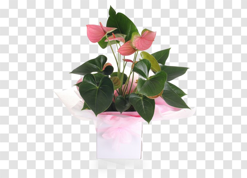 Floral Design Flowerpot Cut Flowers - Leaf - Flower Transparent PNG