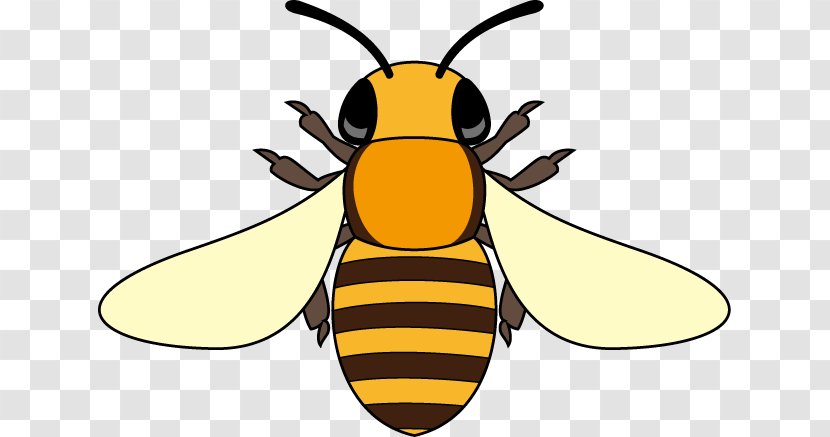 Honey Bee Hornet Insect Clip Art - Pollinator Transparent PNG