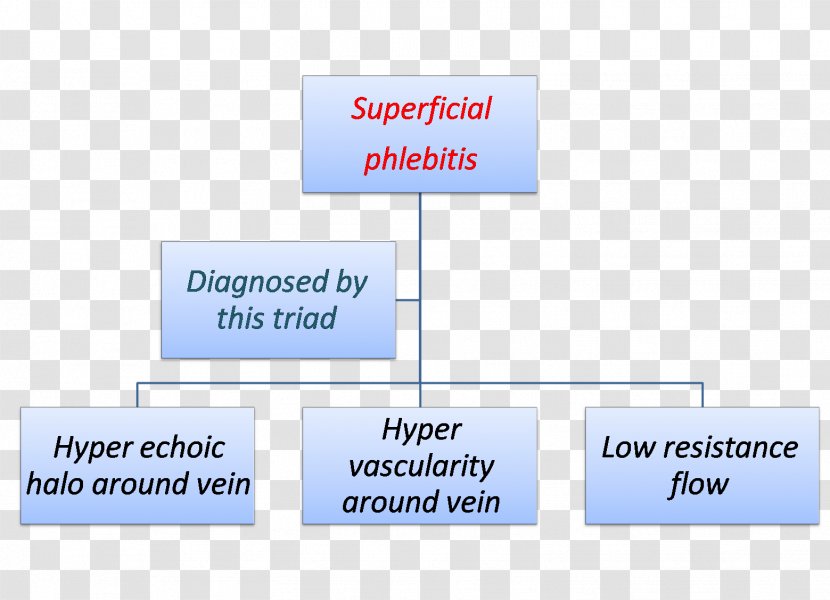 Organizational Chart Structure Industry - Area - Obstetric Transparent PNG