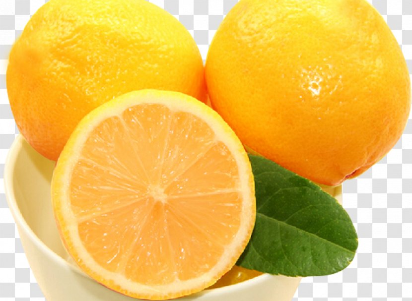 Clementine Lemon Mandarin Orange Lime Poster Transparent PNG