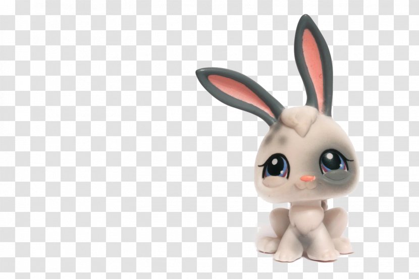 Domestic Rabbit Easter Bunny Holland Lop Dutch - Snout - Littlest Pet Shop Transparent PNG