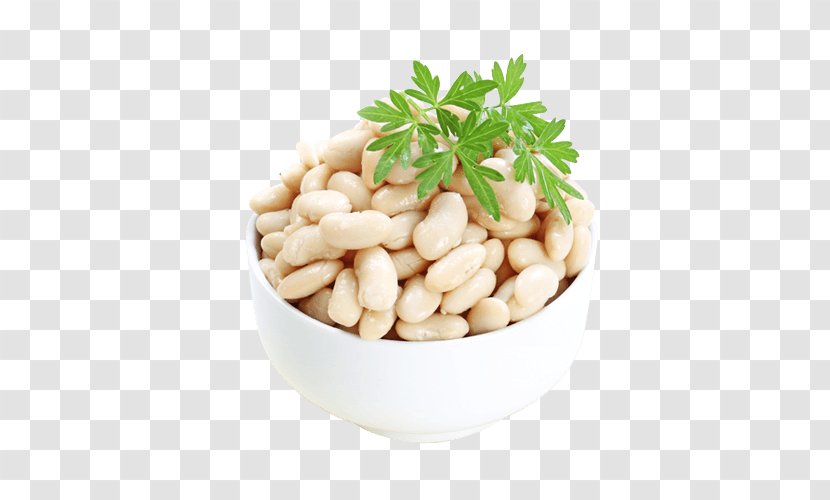 Bean Salad Stock Photography Common Nut - Food - Fag Transparent PNG