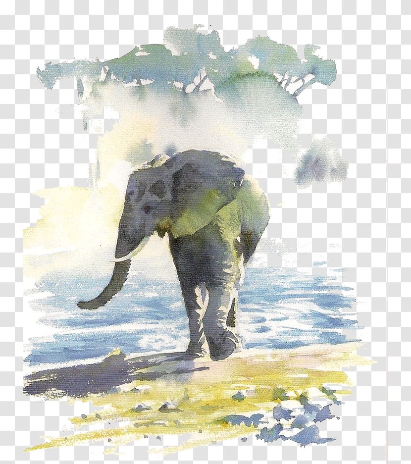 Hazel Soans African Watercolours Paper Watercolor Painting Painter - Wading Elephants Transparent PNG
