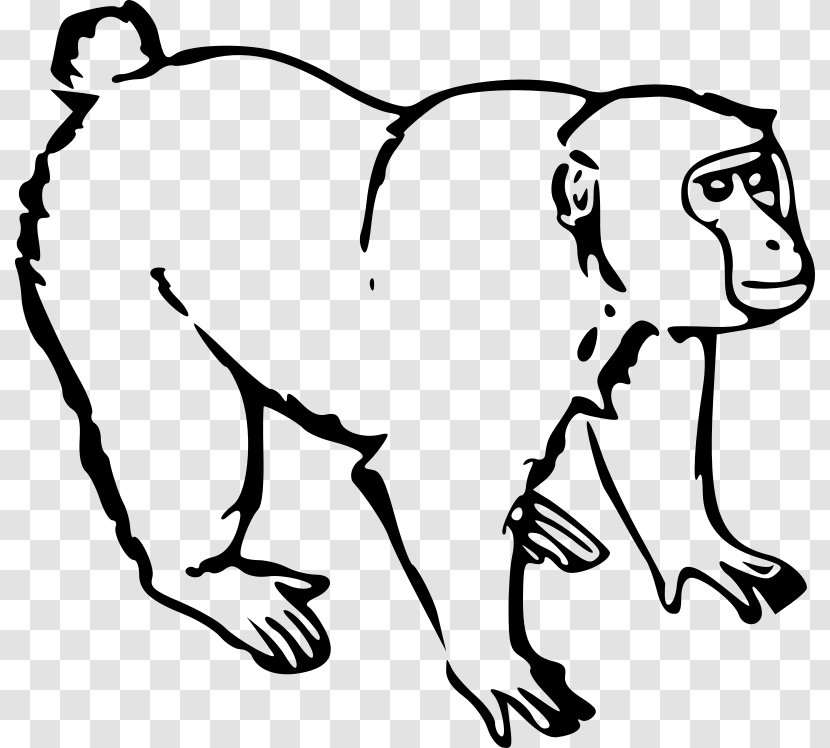 Ape Monkey Gorilla Clip Art - Spider Transparent PNG
