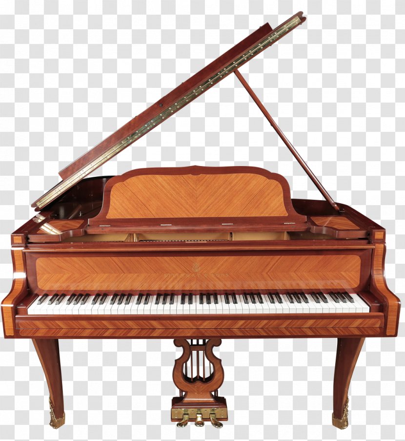 Fortepiano Digital Piano Player Electric Harpsichord - Grand Transparent PNG