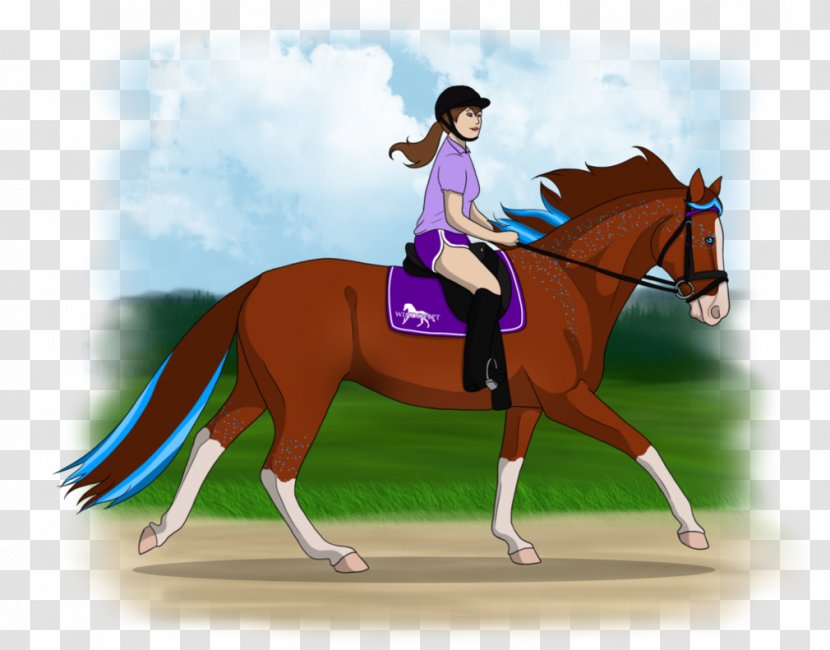 Horse Equestrian Western Riding Bridle English - Take Back? Transparent PNG
