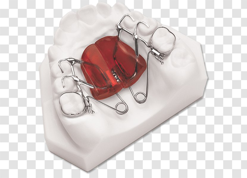 DynaFlex Tyrannosaurus Home Appliance Image Product Design - Heart - Orthodontic Correction Transparent PNG