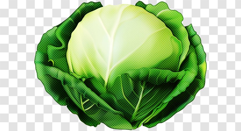 Green Cabbage Leaf Wild Vegetable - Food Transparent PNG