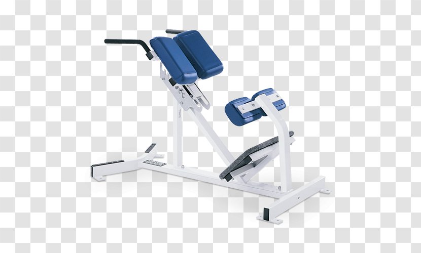 Bench Strength Training Crunch Hyperextension Weight - Hardware - Dumbbell Transparent PNG