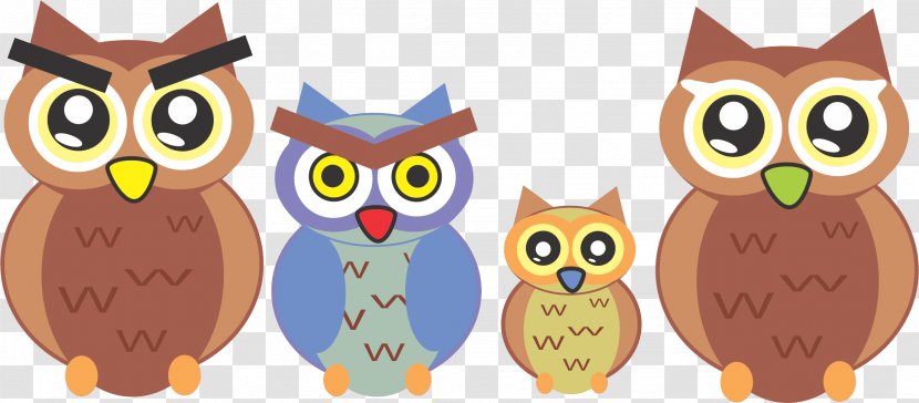 Owl Cartoon Bird Animaatio Beak - Color Transparent PNG