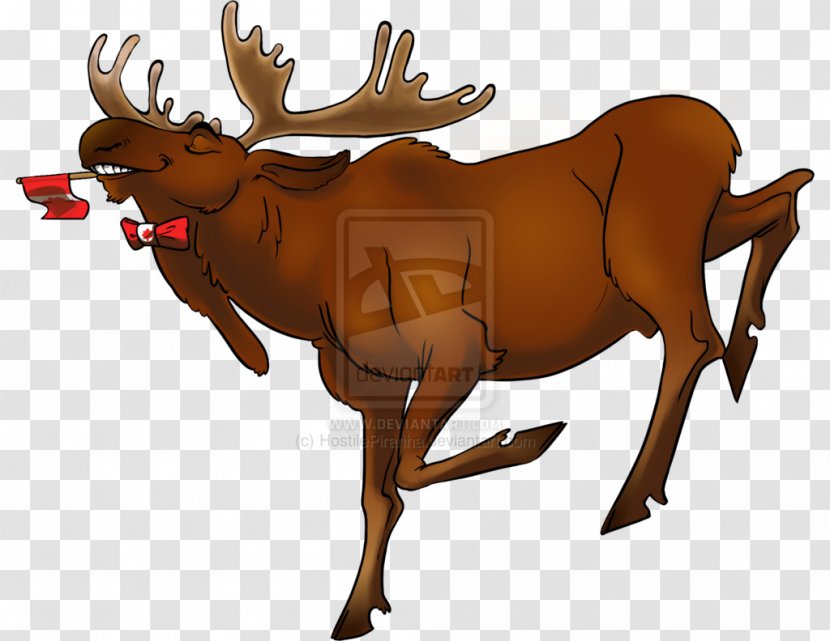 Reindeer Moose Cattle Mammal Antler - Chuckles Comedy House Transparent PNG