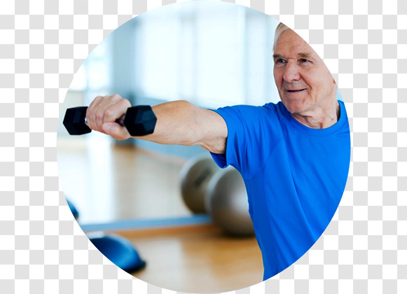 Physical Therapy Androgen Replacement NuVista Living In Tampa - Weights - Weight Training Transparent PNG