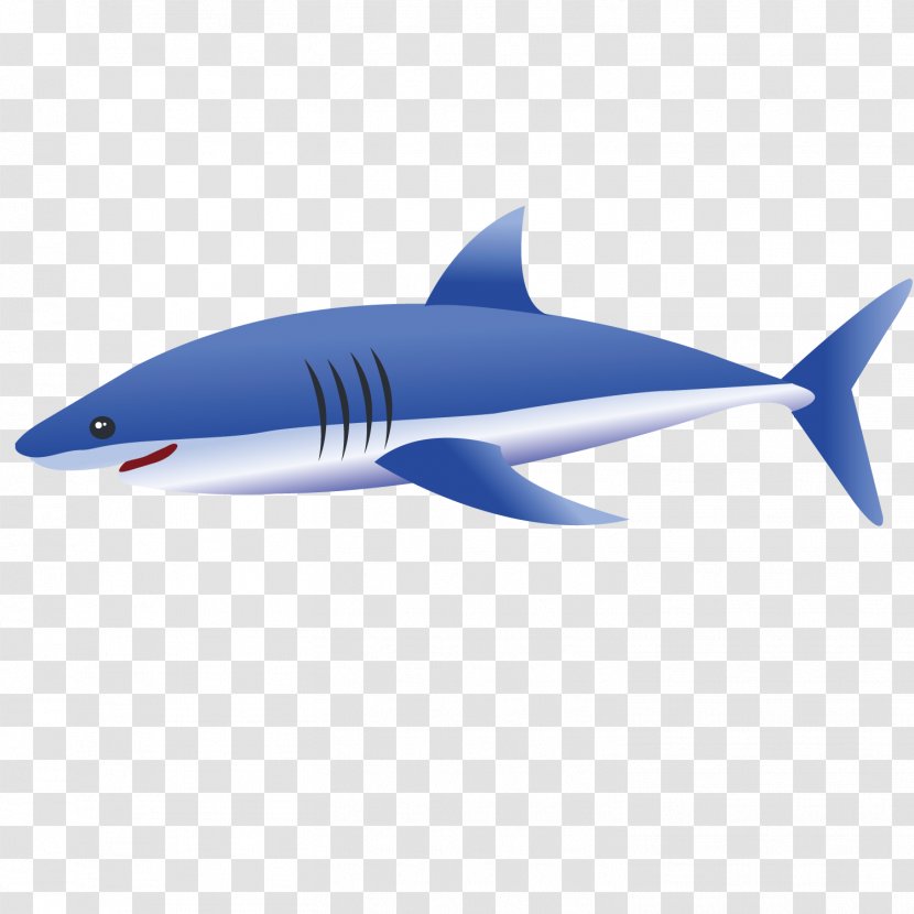 Tiger Shark Euclidean Vector Blue - Fish Fin - Sharks Transparent PNG