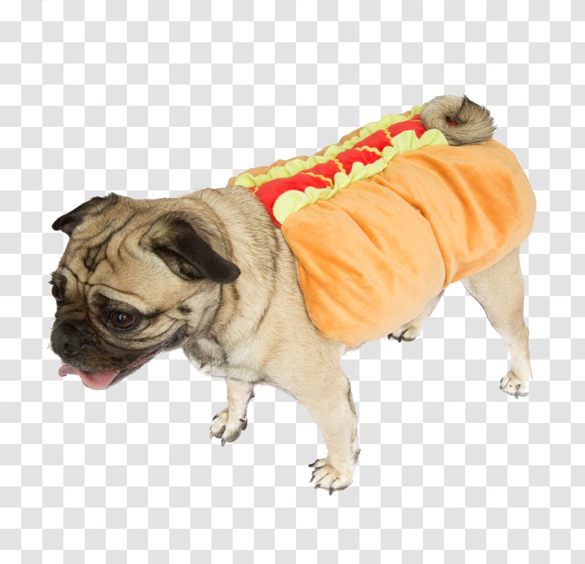 Pug Puppy Dachshund Hot Dog Breed Transparent PNG