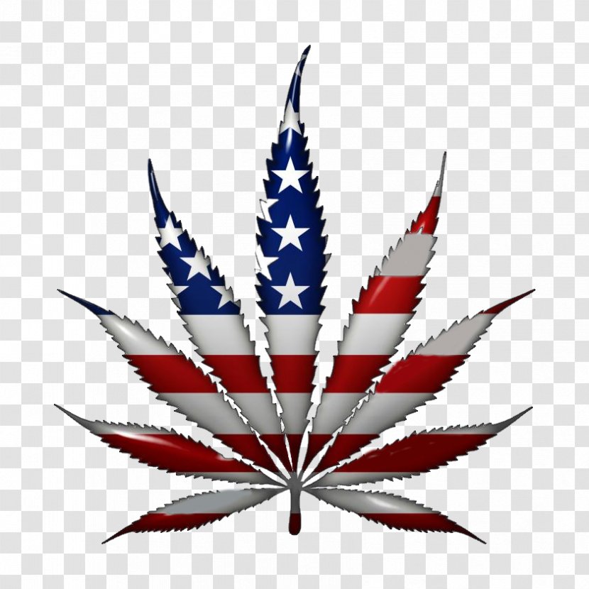 United States Medical Cannabis Legality Of Smoking - Symmetry Transparent PNG