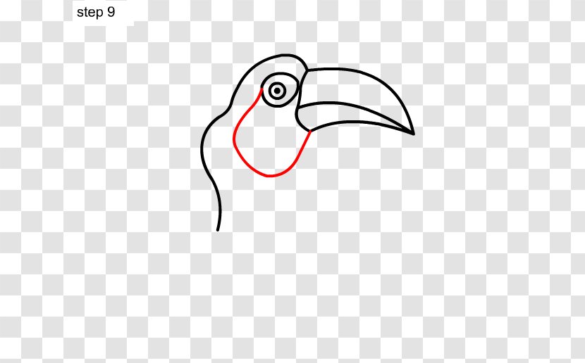Drawing Bird Line Art - Logo - Toucan Transparent PNG
