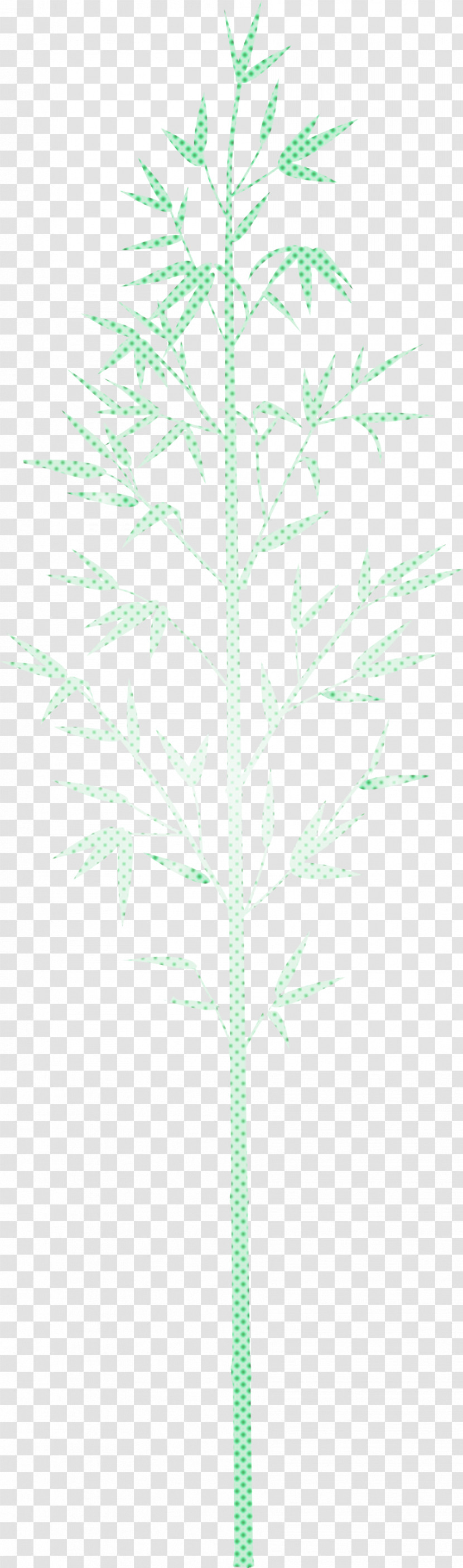 Bamboo Leaf Transparent PNG