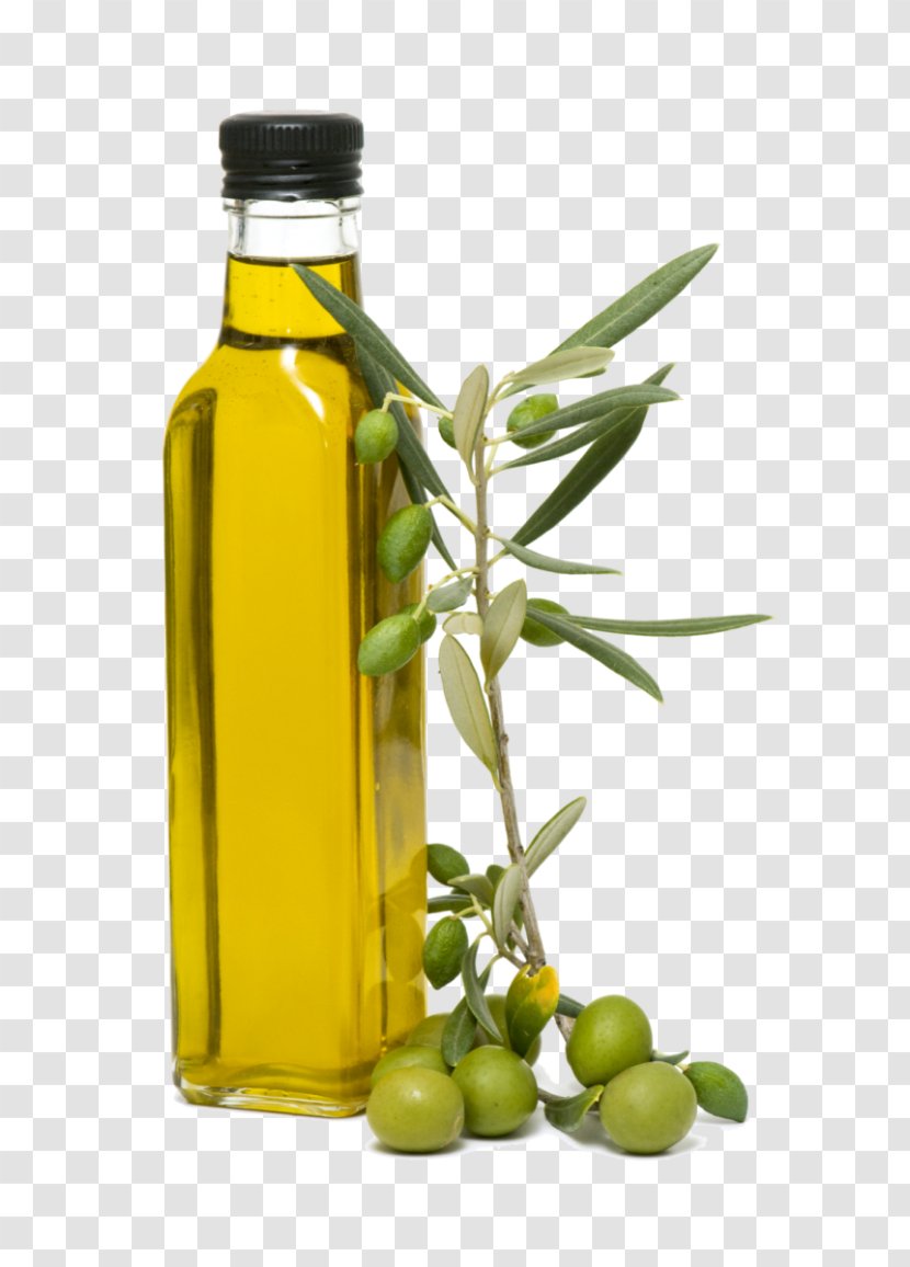 Olive Oil Squid As Food Italian Cuisine Transparent PNG