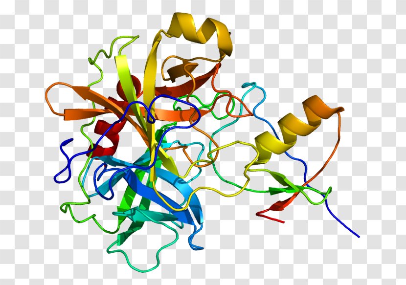 Homology Modeling Protein Structure Prediction - Text - Diabetes Mellitus Transparent PNG