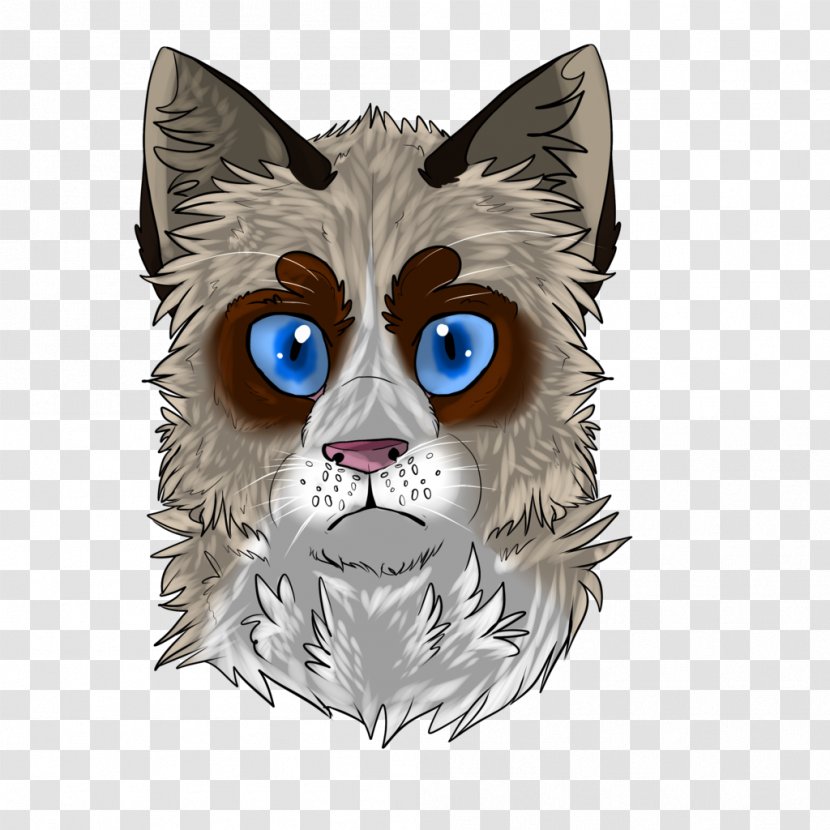 Whiskers Big Cat Snout Transparent PNG