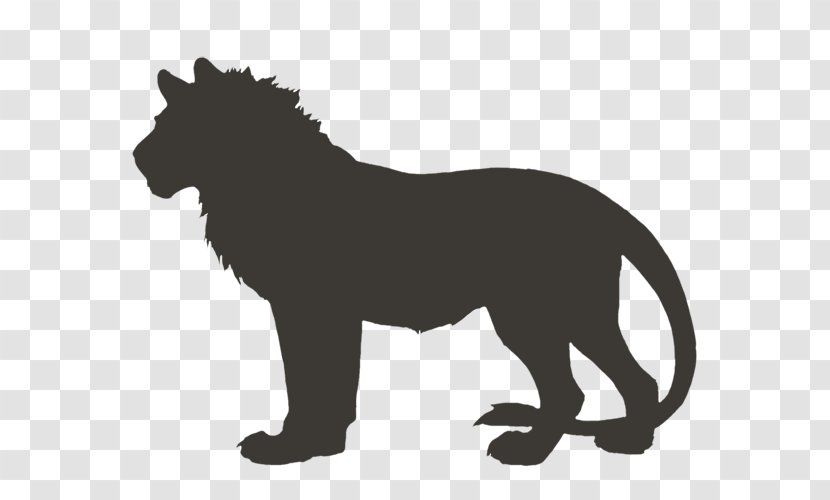 Lion Felidae Leopon Big Cat - Tail Transparent PNG