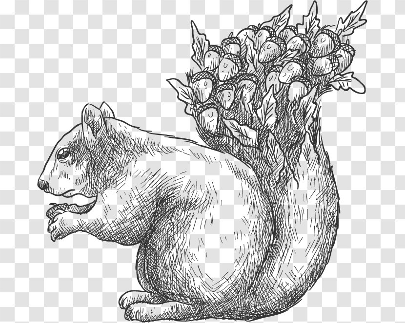 Drawing Euclidean Vector Tree Squirrel Acorn - Wildlife - Hand-drawn Sketch Transparent PNG