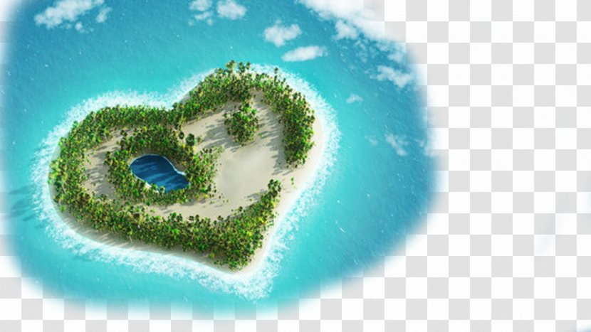 Marie-Galante Ambergris Caye Socotra Majorca Lanzarote - Grass - Love Island Transparent PNG