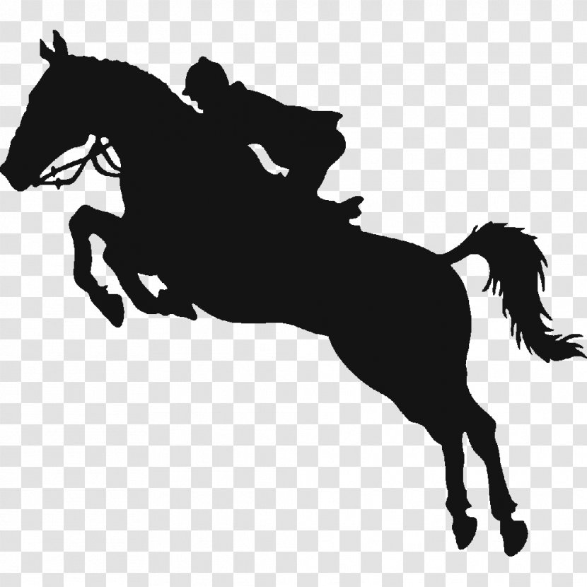 Horse Show Equestrian Jumping - Free - Black Logo Transparent PNG