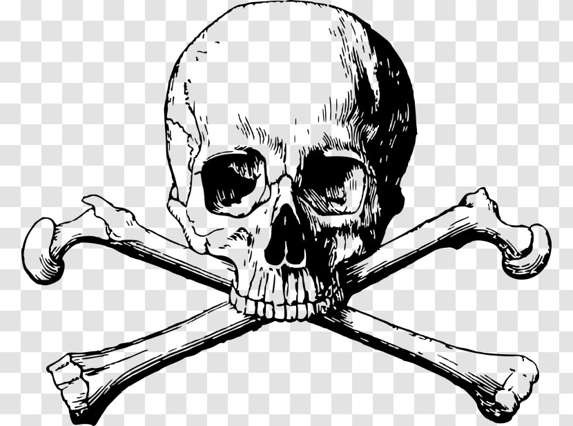 Skull And Bones Crossbones Human Symbolism - Drawing Transparent PNG